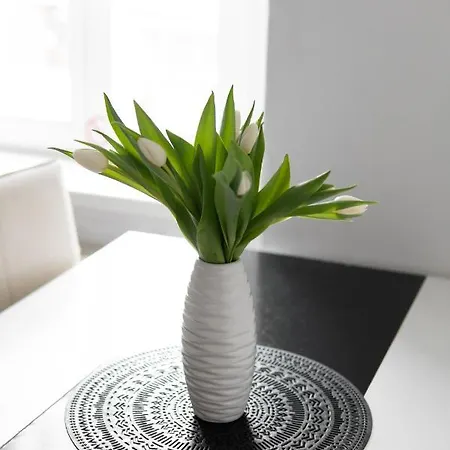 Apartma U Bastu *