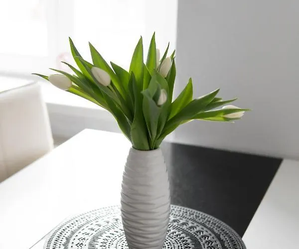 Apartma U Bastu *